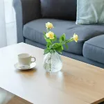 公寓 Bright Spacious With Parking Mazowiecka By Renters *